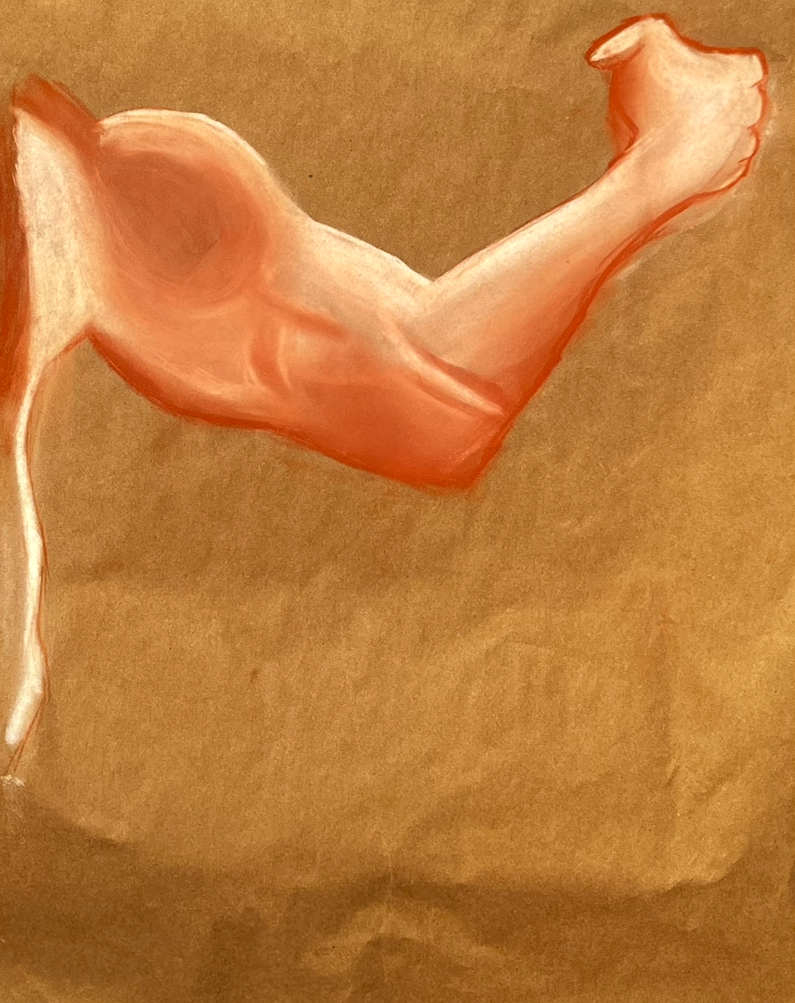 Conte Arm Study — Conte