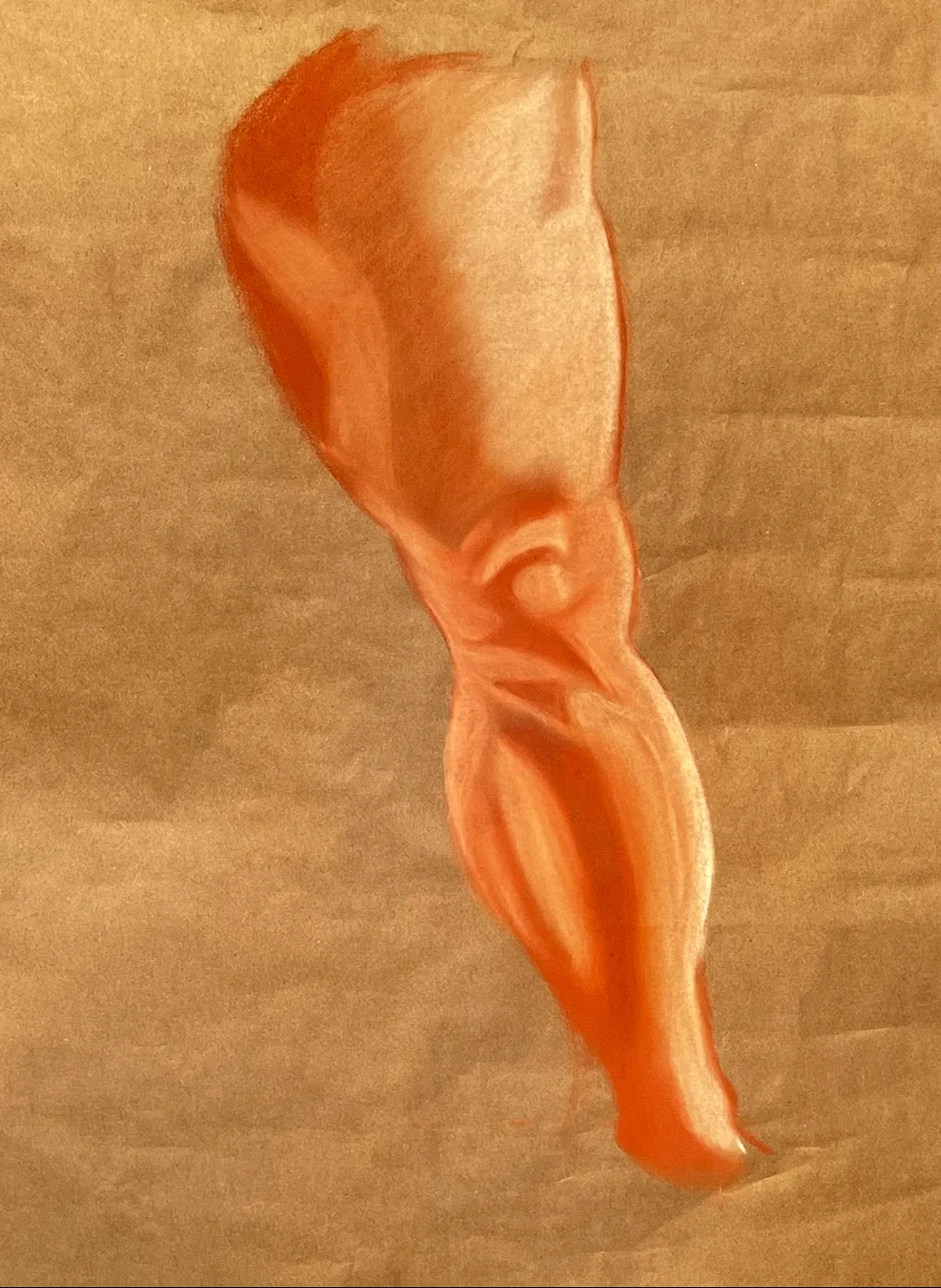 Conte Knee Study — Conte