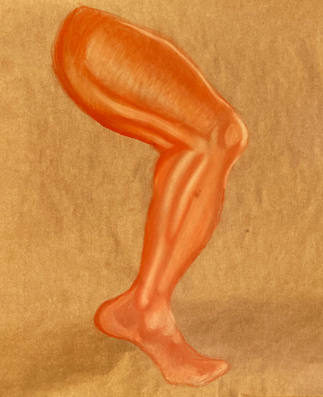 Conte Leg Study — Conte