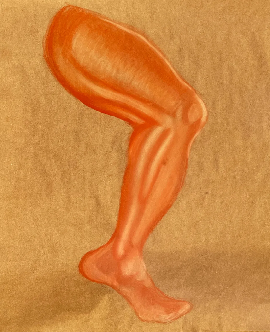 Conte Leg Study — Conte